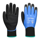 AP01 - Guanto Thermo Pro